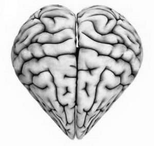 Imagen relación corazón y cerebro
